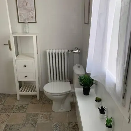 Le Yucca Proche Des Plages Catalanes * Bompas (Pyrenees-Orientales)